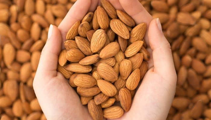 Almonds In Hindi